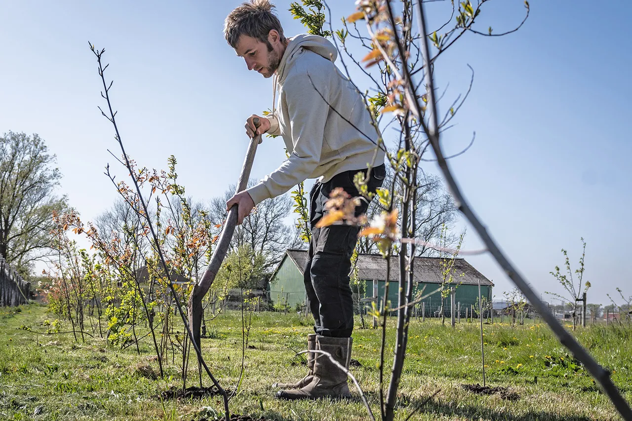pluktuin van geesje 43