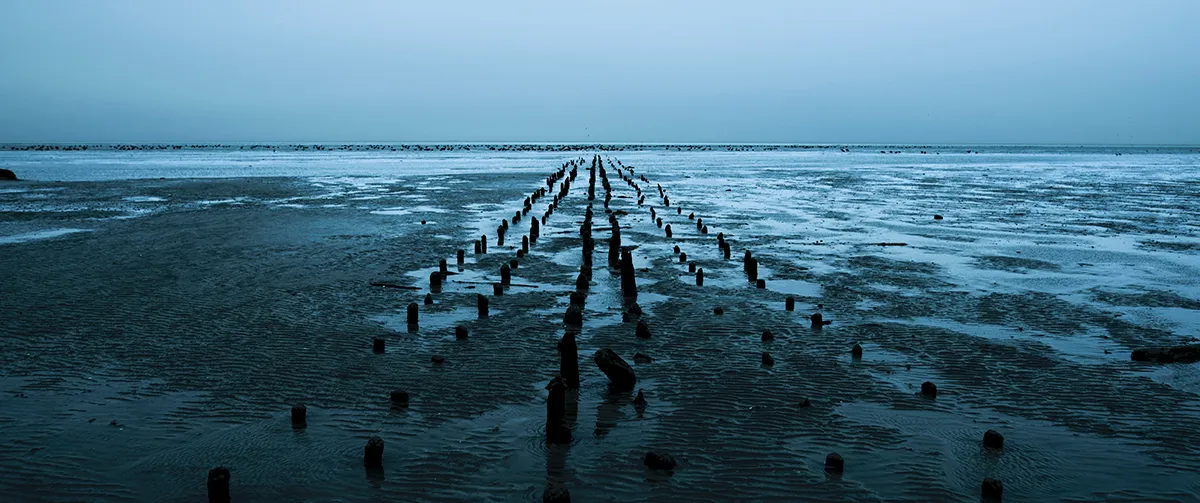 silence of the tides still