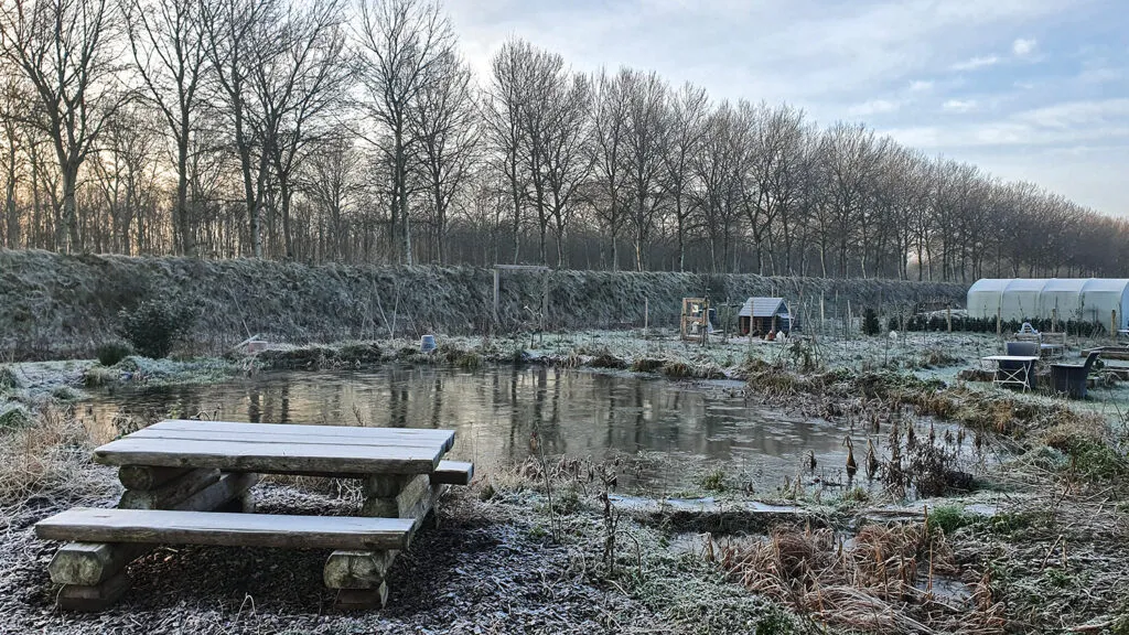 tin vorst wim meijer fotografie 1024x576