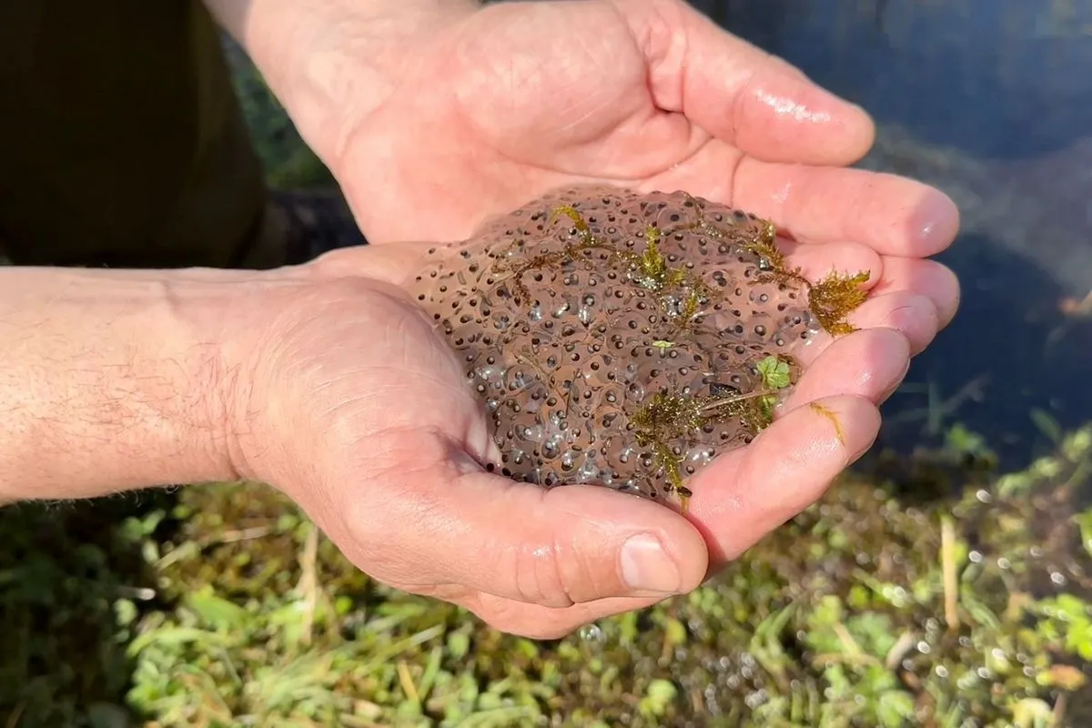 whatsapp image 2023 04 22 at 095856