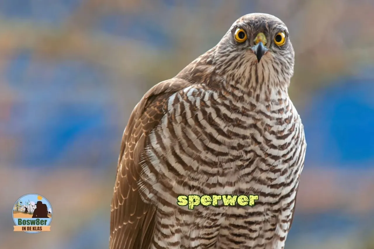 whatsapp image 2023 06 04 at 151524 1