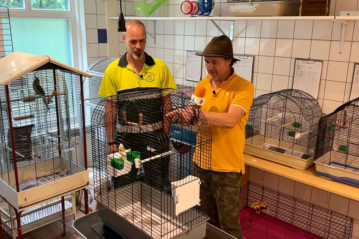 whatsapp image 2023 07 05 at 092429 kopieren