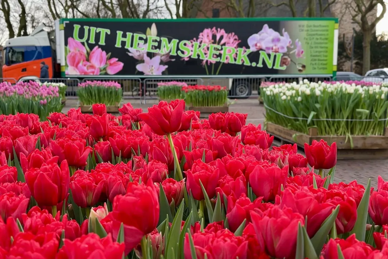 whatsapp image 2024 01 20 at 155045