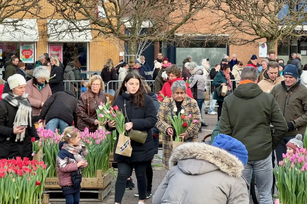 whatsapp image 2024 01 20 at 155047