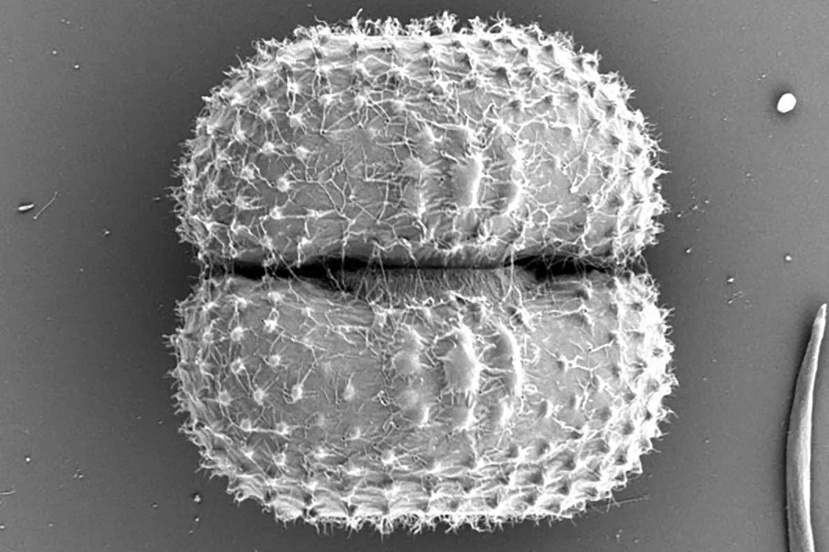 unnamed (21) kopiëren