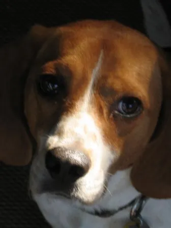 423065383 4fc831a322 o