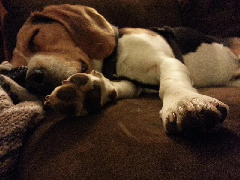 8835250777 1bca699368 c