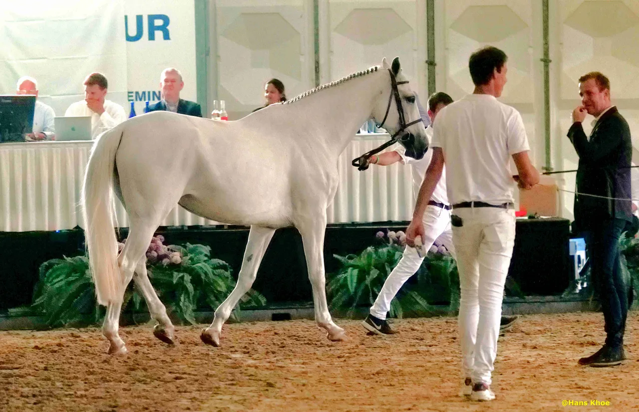ch jolly karla v op summer sale foto hans khoe