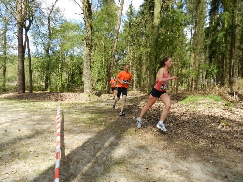 cross1