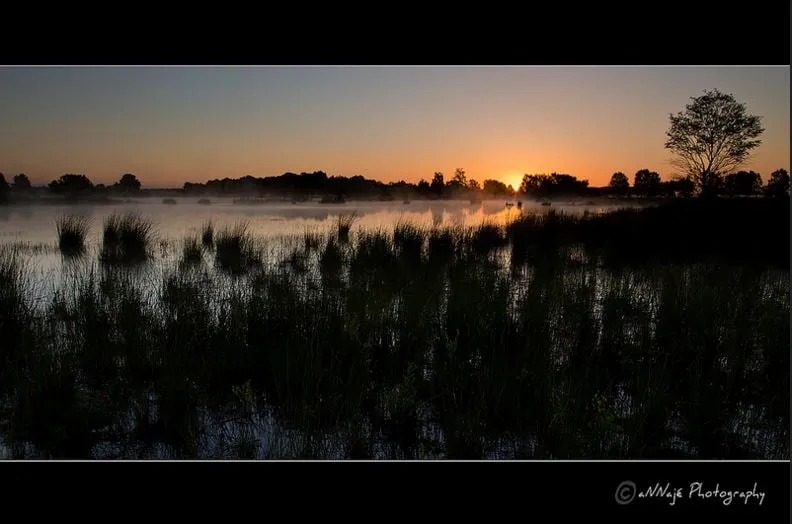 dwingelderveld