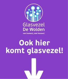 glasvezel2 261x300