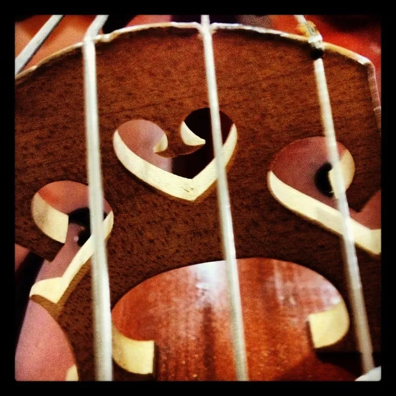 heart of cello foter cc by nd