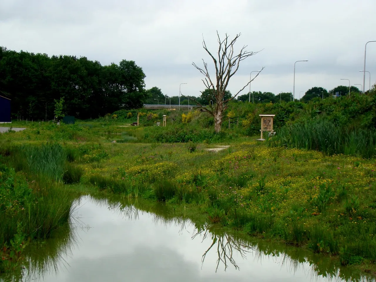idylle zuidwolde