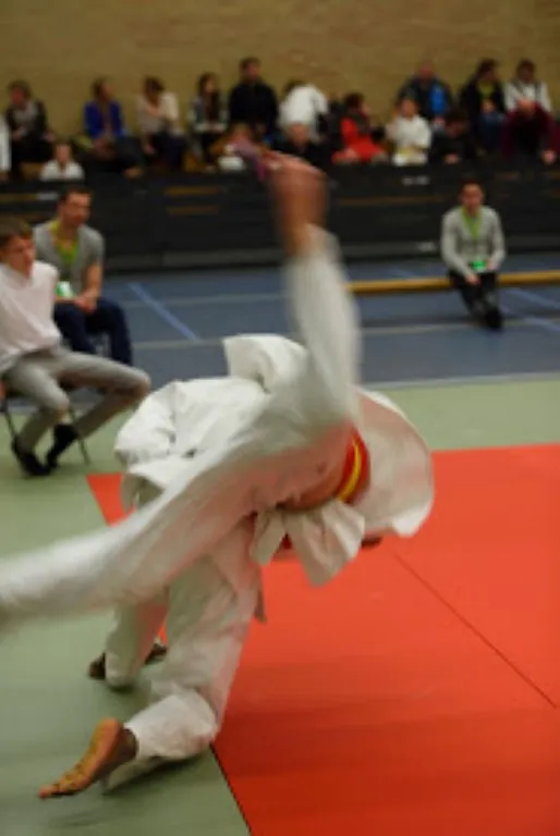 judo copy 00051
