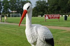 ooievaarstoernooi