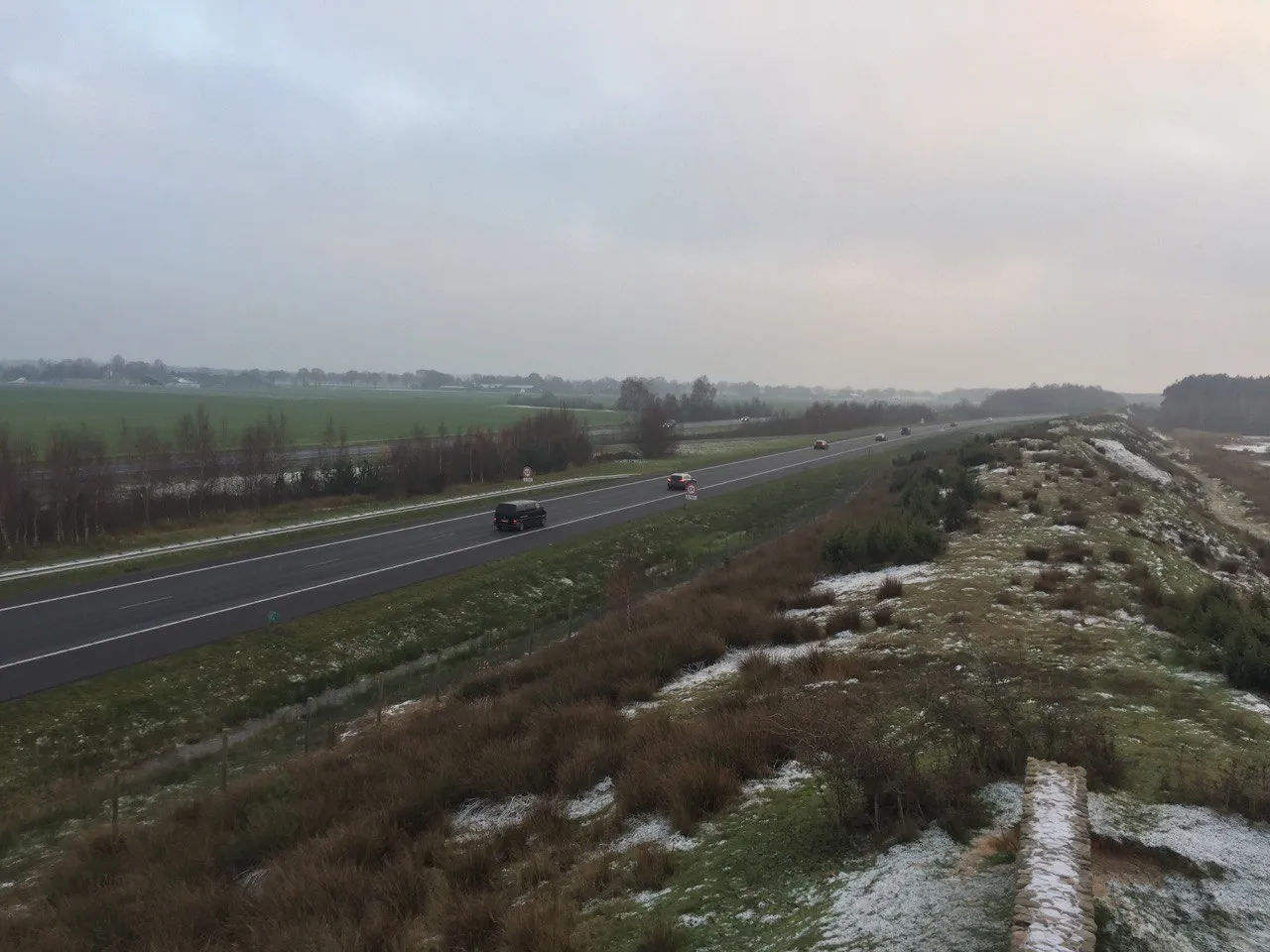 photo 5866379307599903560 y