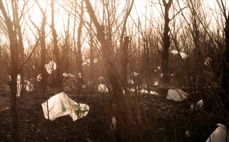 plastic bags at dawnjonathan kos read via fotercom cc by nd