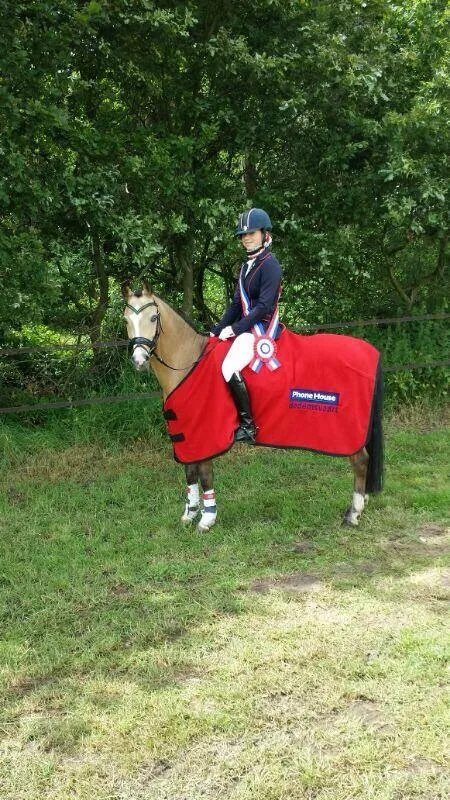 pony1