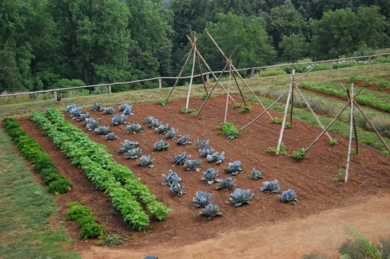 southern foodways alliance foter cc by