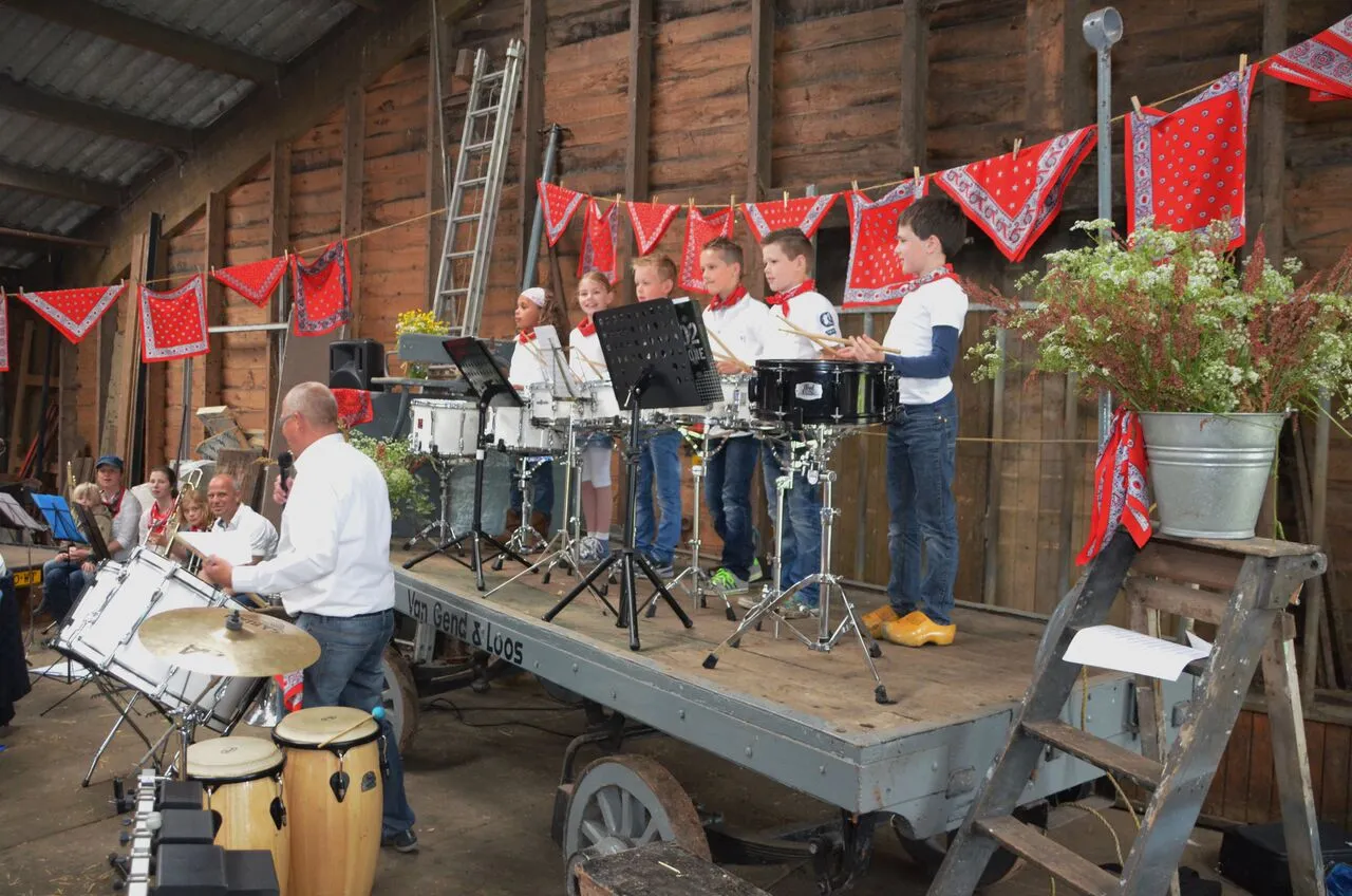 strobaaln concert jmse