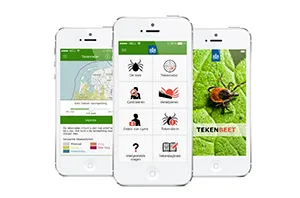 tekenbeet4 300