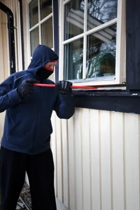the burglar