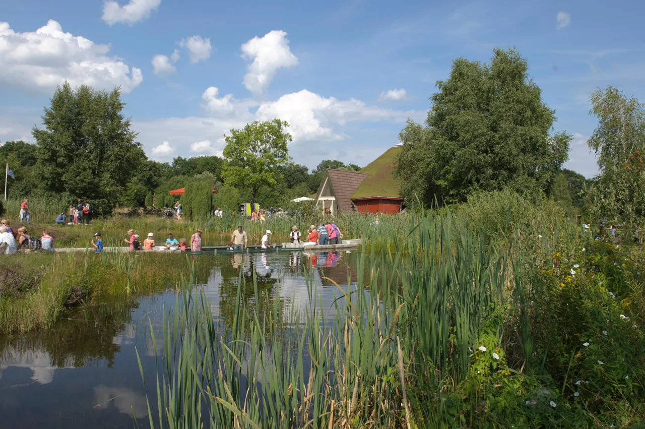 tuinmarkt
