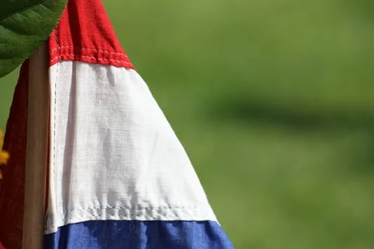 vlag