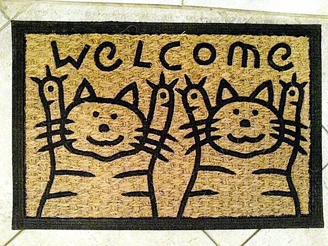 welcome 14claudio matsuoka foter cc by
