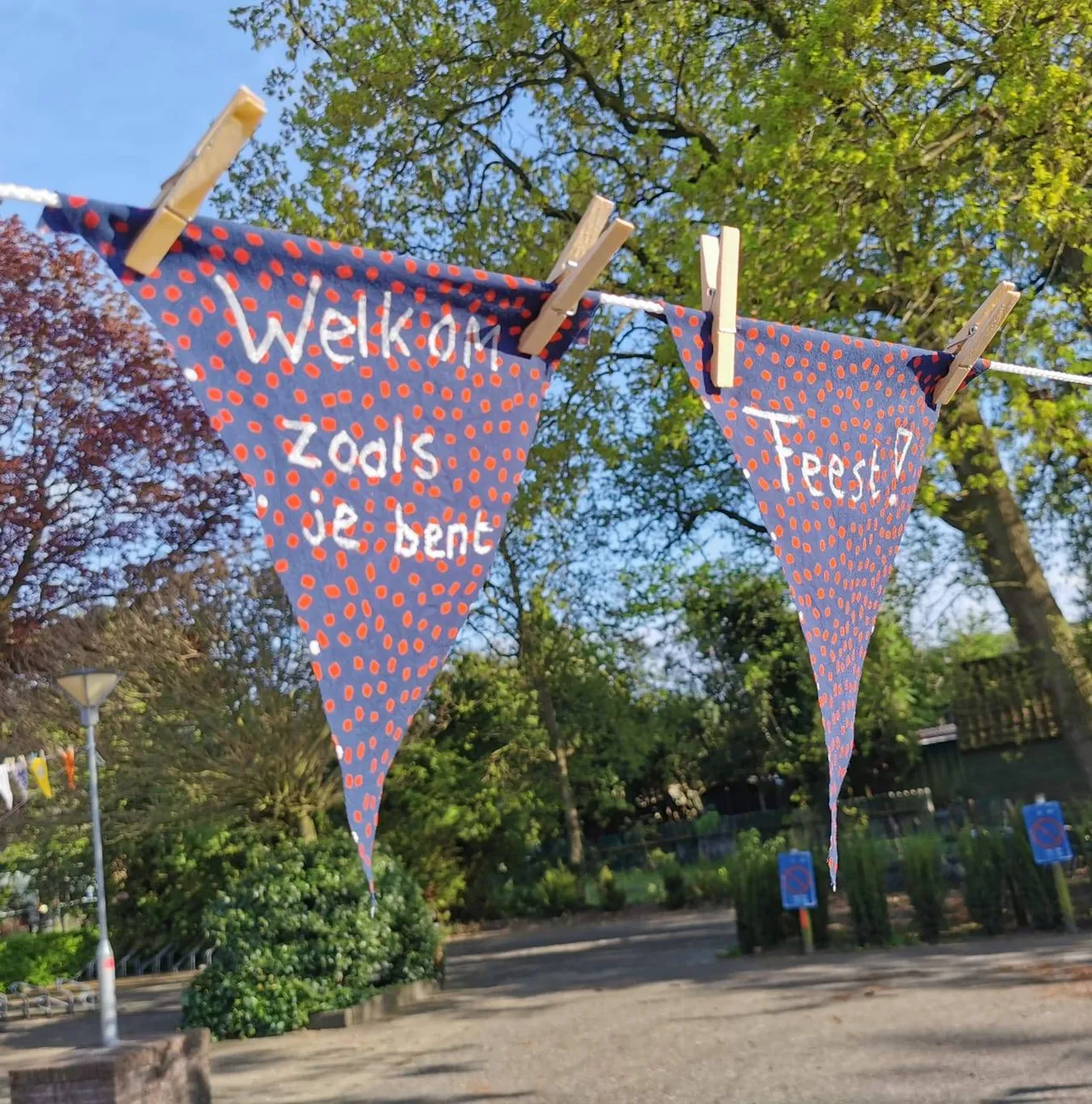 zuidwolde vlaggetjes3