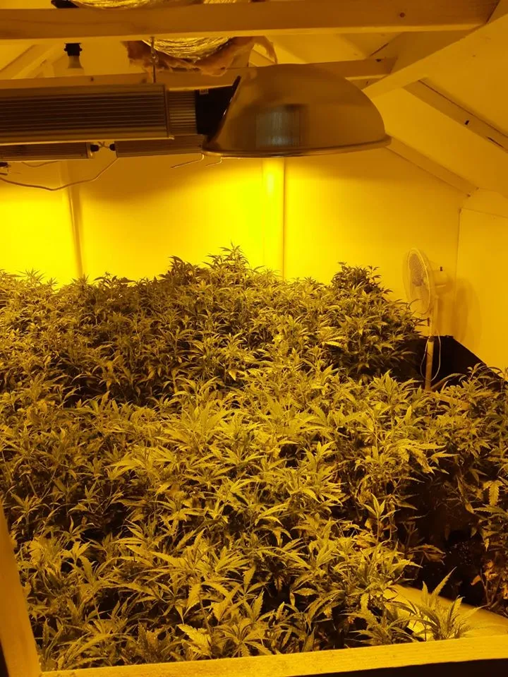 75543526 2709496129089651 1943864028795240448 o