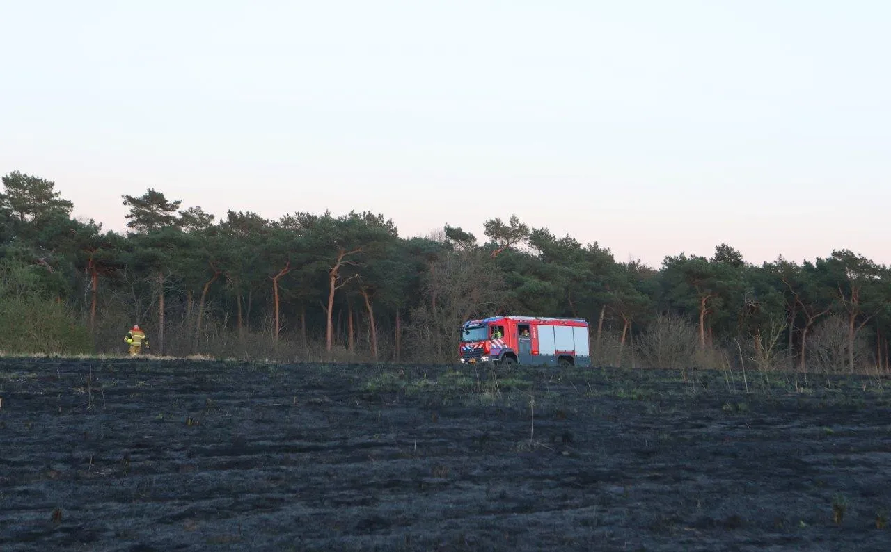 heidebrand rosmalen 3