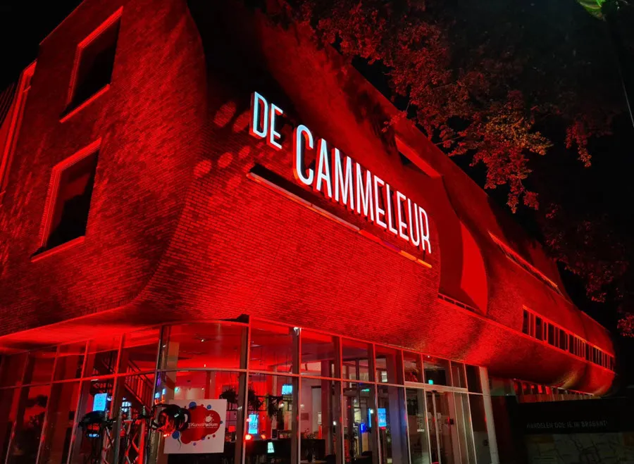 cammeleurrood2