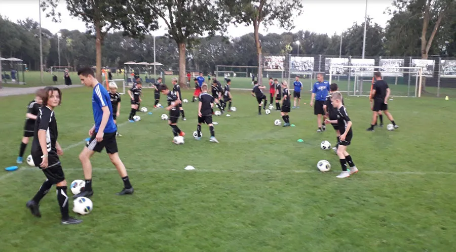 dvvctraining