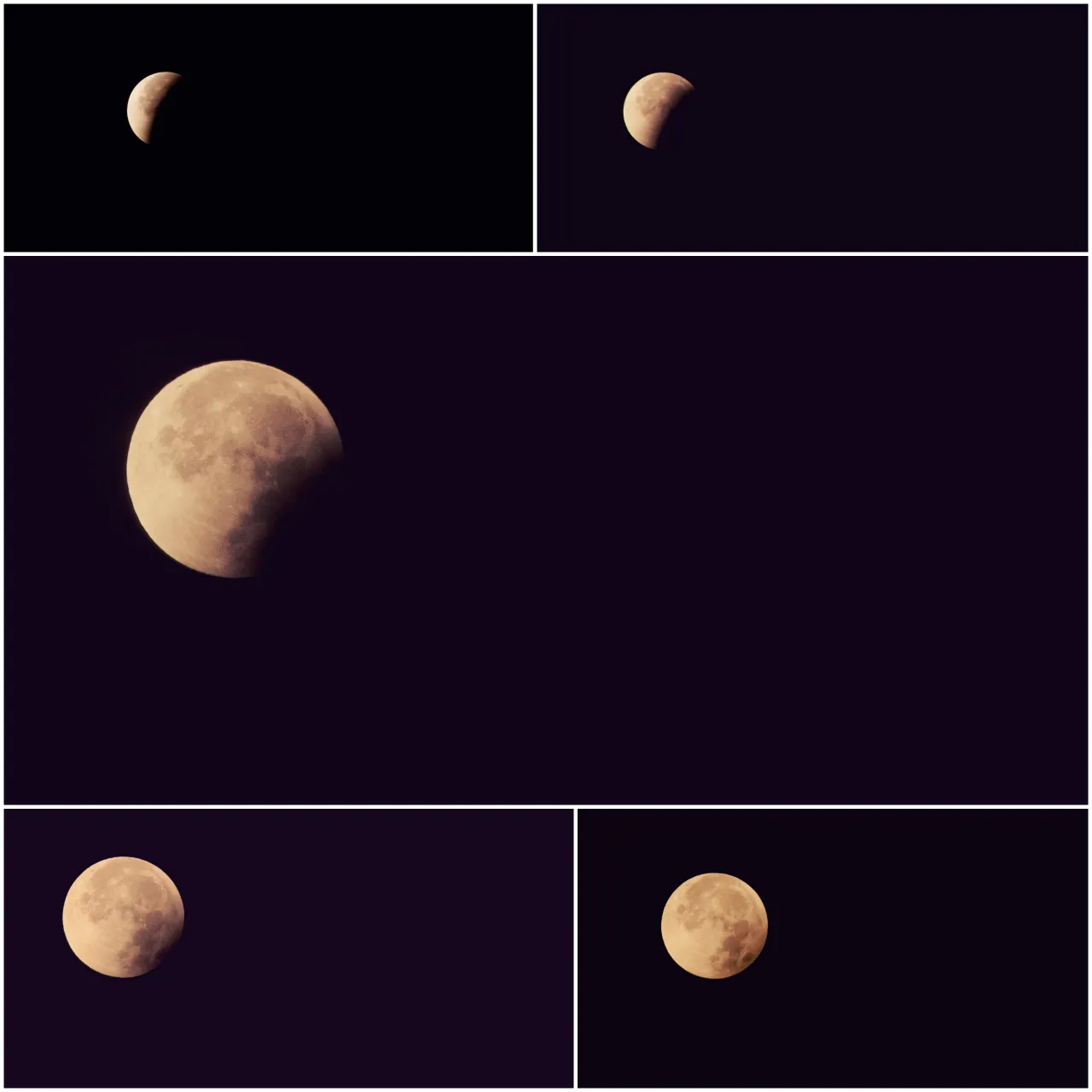 maan collage
