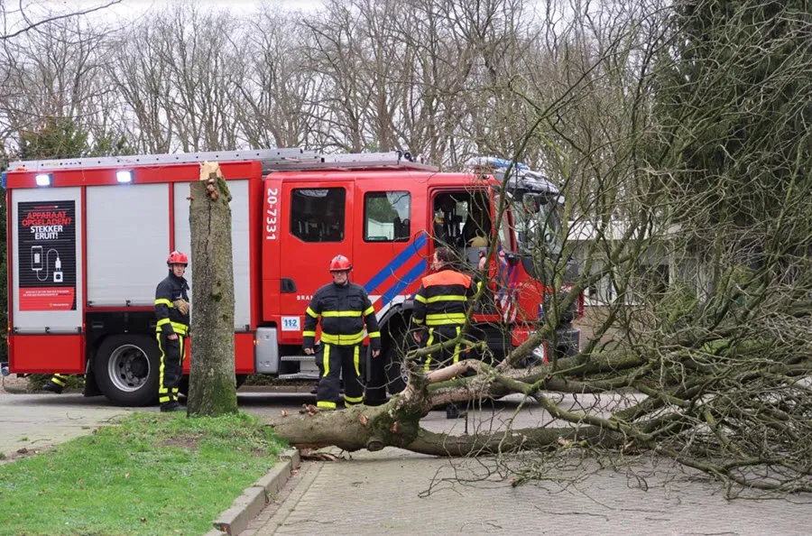 merwede5