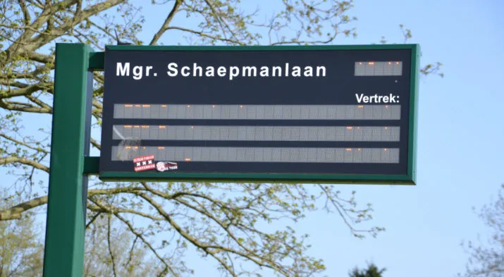 schaepman2