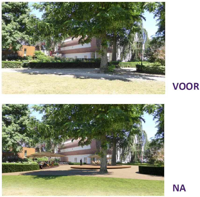 vn1