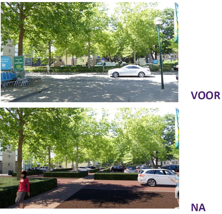 vn4