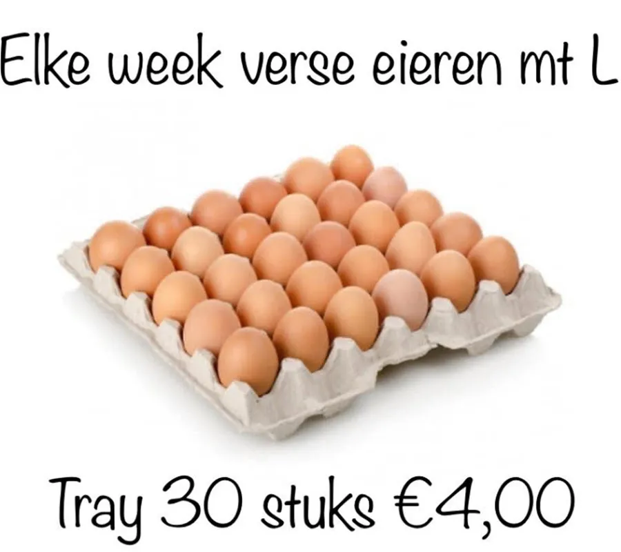 voordeel4