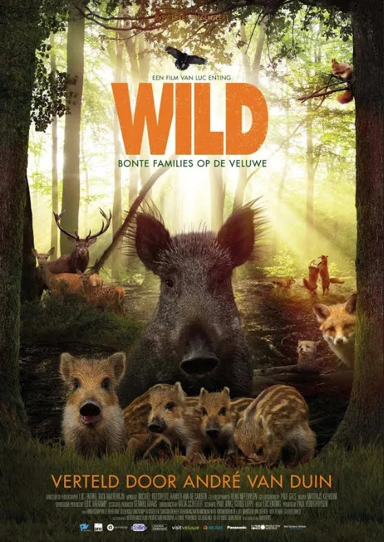wild4