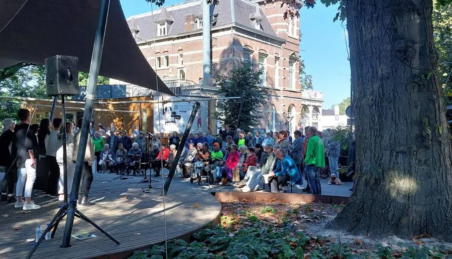 dongenzingt252