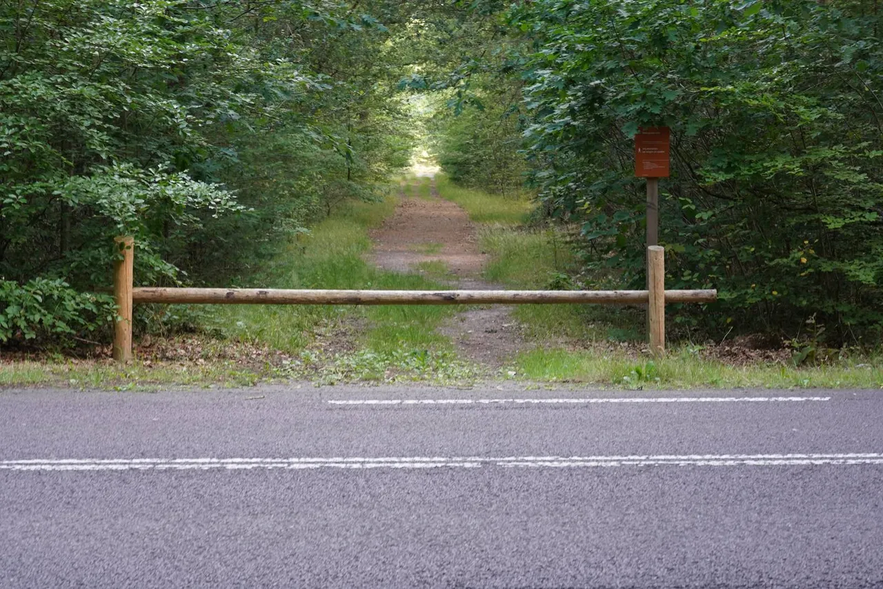 dwingeloo parkeren dsc02695ahenckel