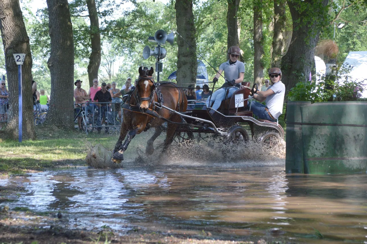 mei pn27052018 menwedstrijd zuidwolde5