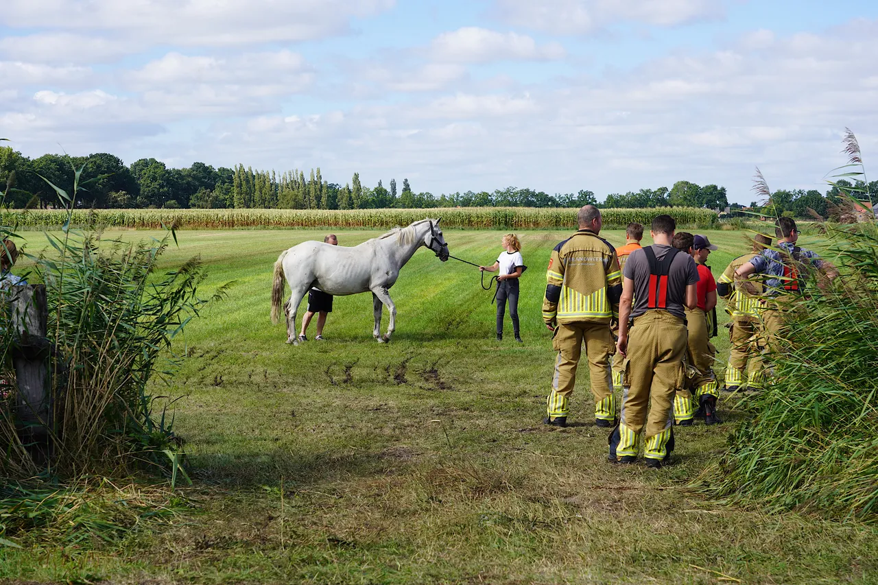 jeroen stuve 20220828092035 2