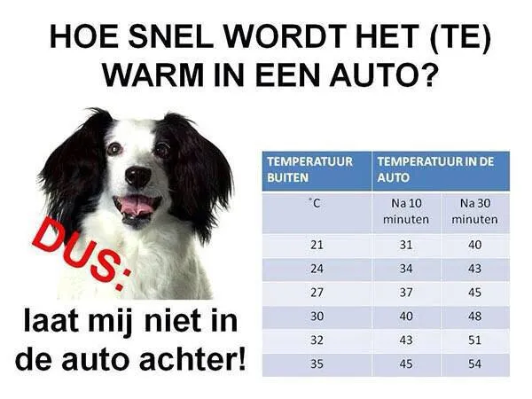 58930 te warm in een auto