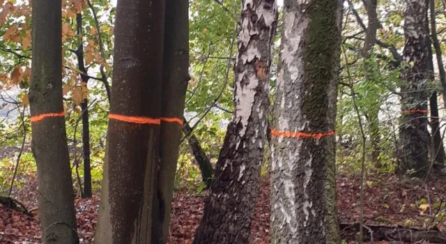 bleswerk bennekomse bos 640x350 1