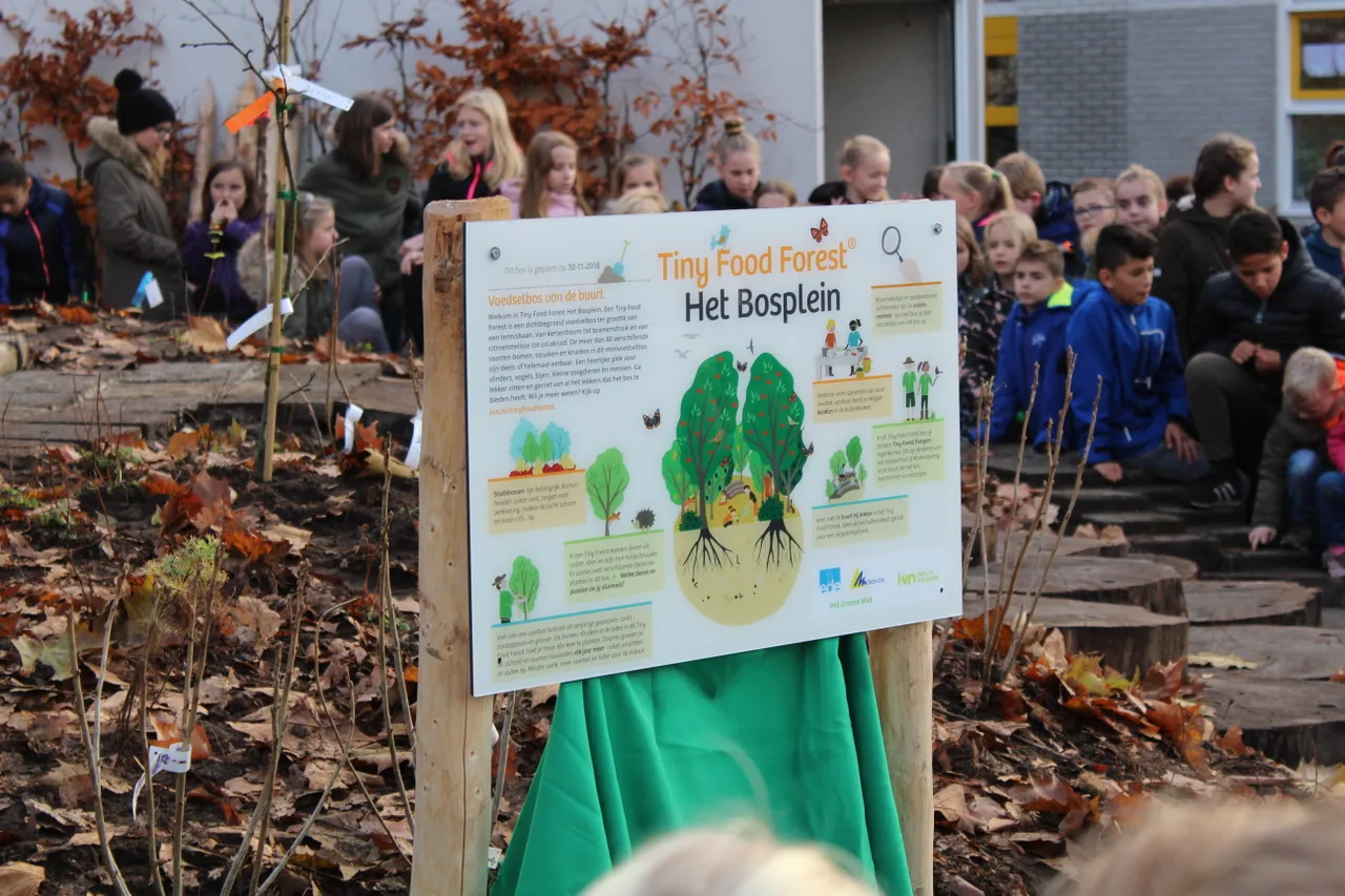 het bosplein het eerste tiny food forest in nederland