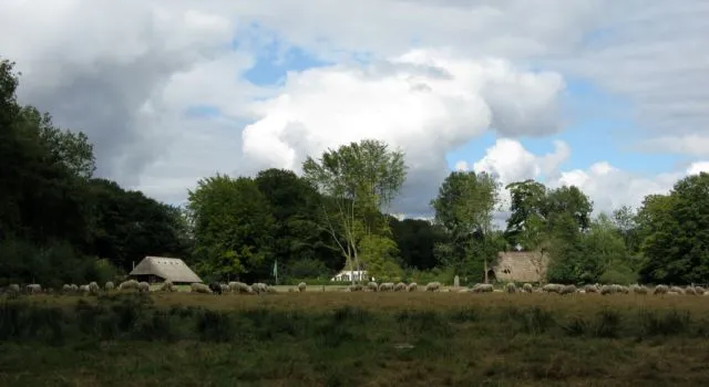 img 1801 640x350