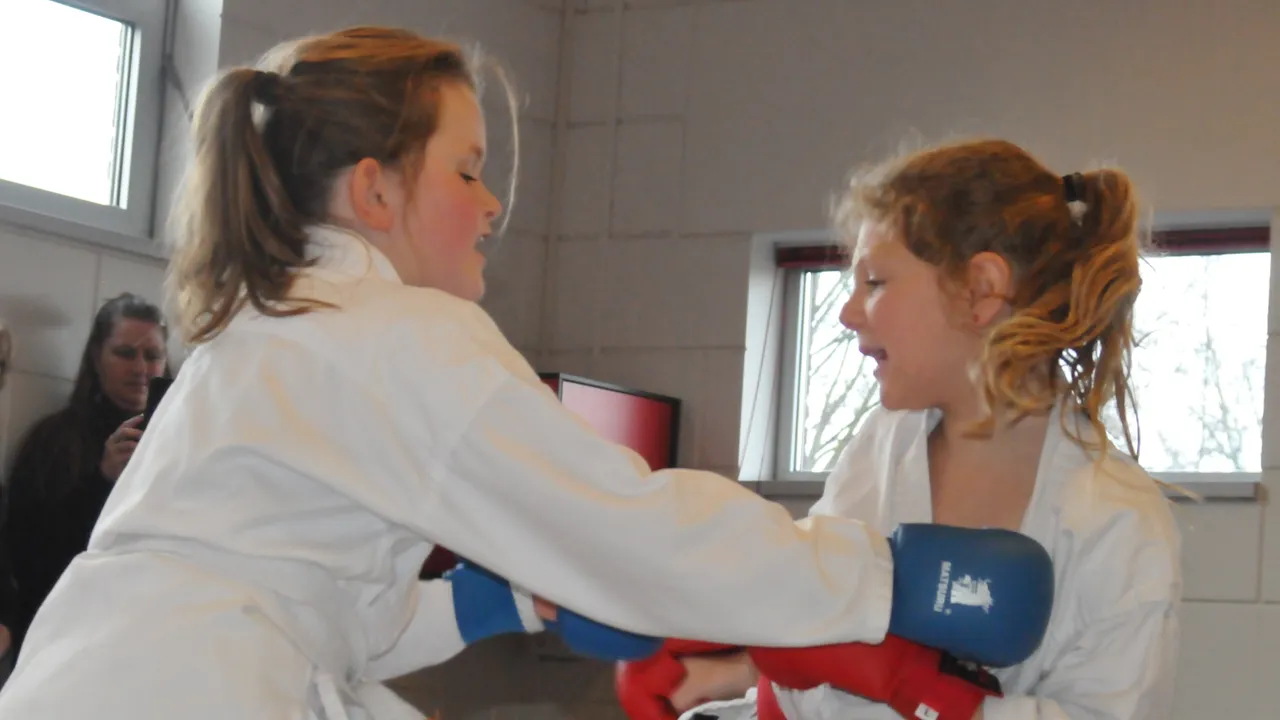 karate1